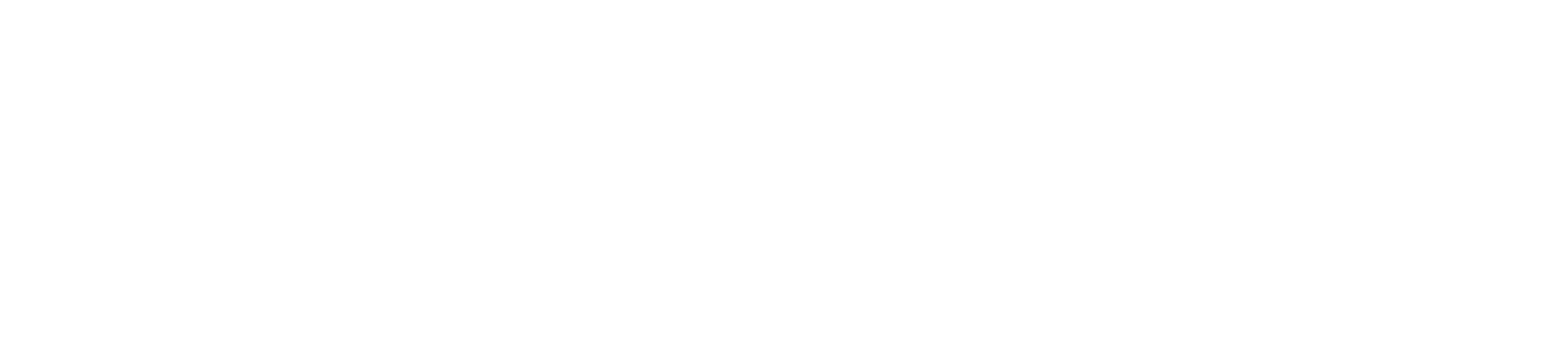 bereczki-logo